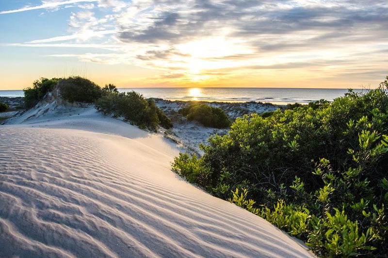 Cumberland Island National Seashore