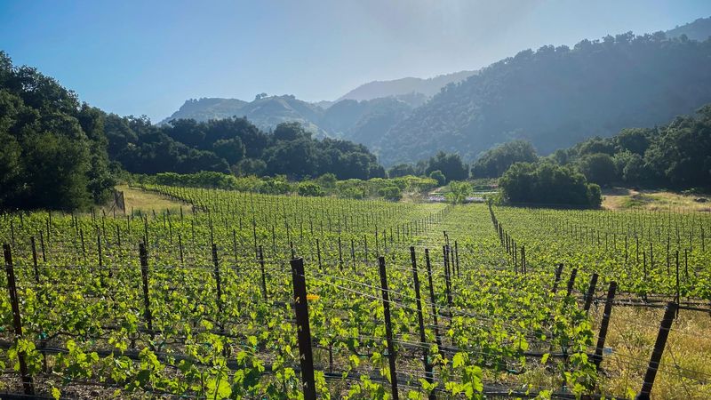 Ventura County Wine Trail