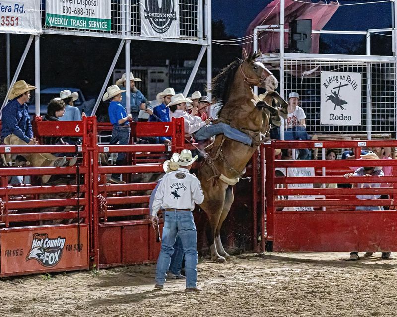 Attend a Genuine Texas Rodeo