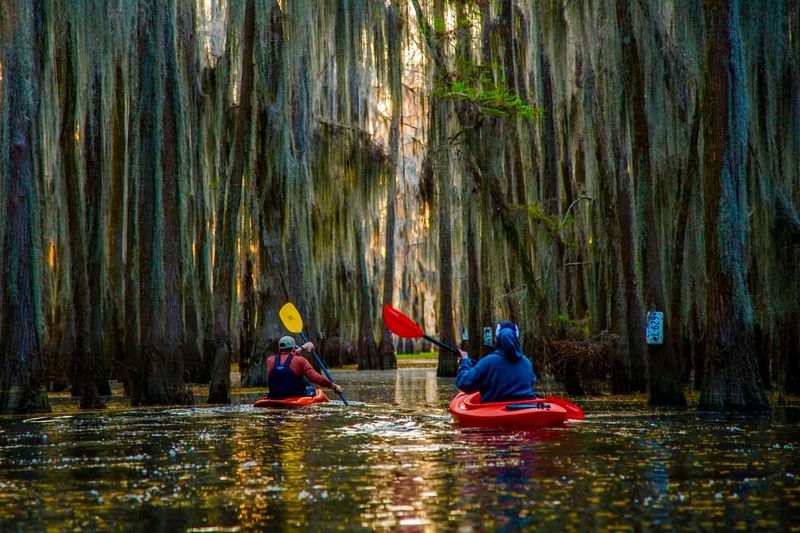 Paddling Through Cypress Swamps at Caddo Lake