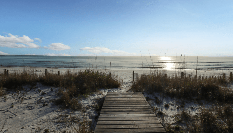 Mexico Beach's Comeback Story