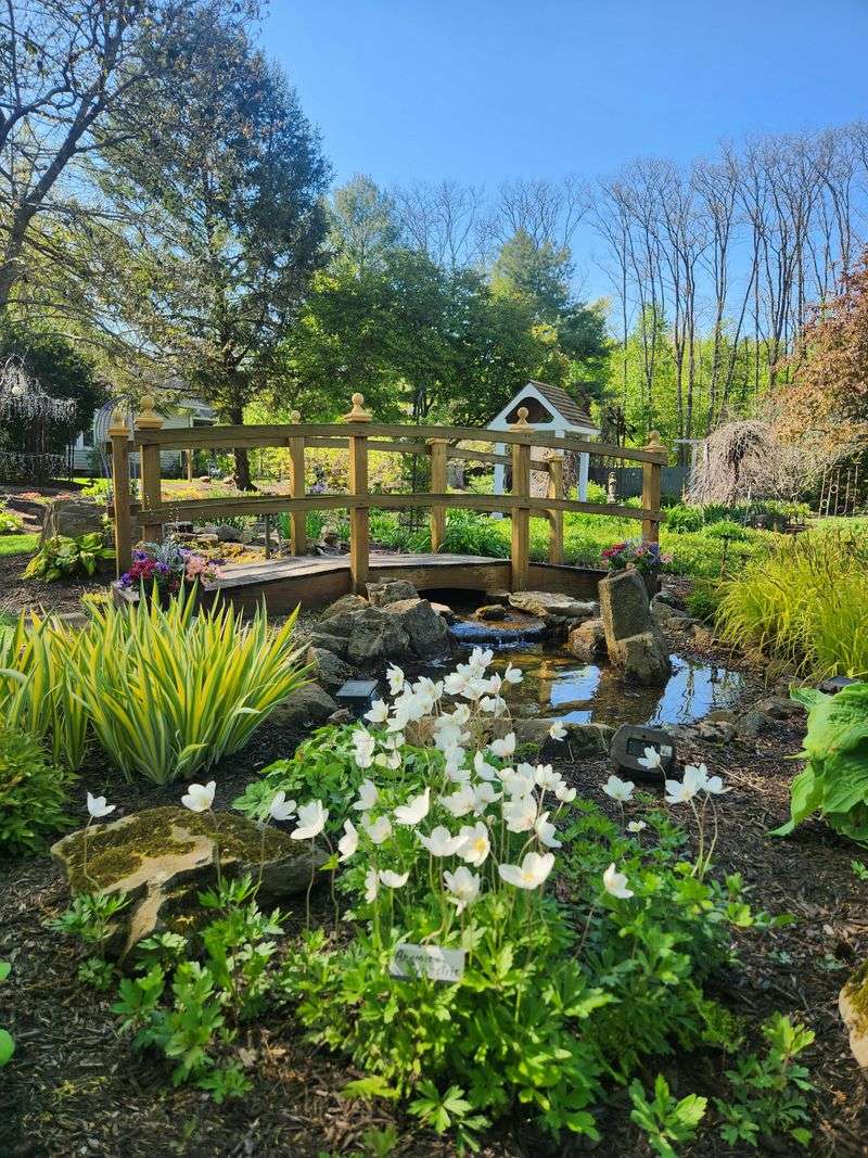 Flora for Every Season