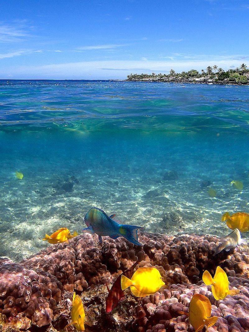 Kahaluu Beach