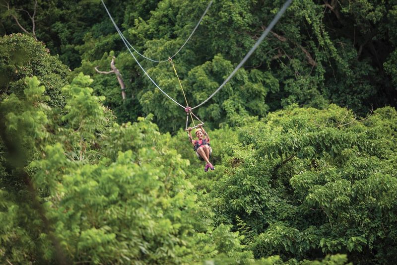 Zip Lining in St. Kitts