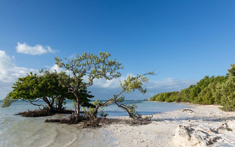 Curry Hammock State Park's Butterfly Meadow Beach