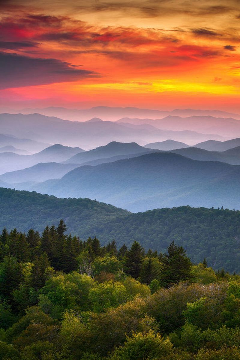 Maggie Valley