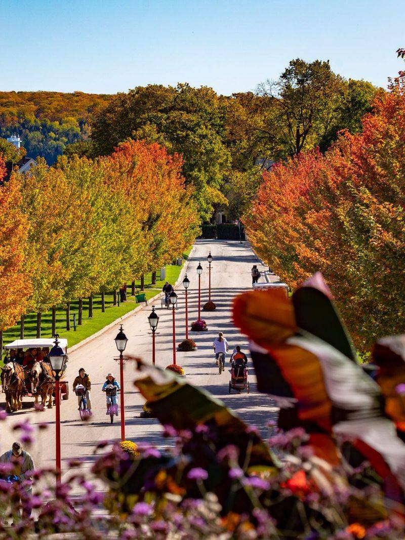 Mackinac Island, Michigan 🚲