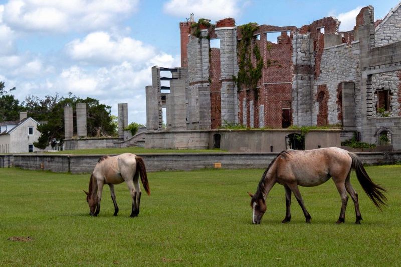 Cumberland Island, Georgia