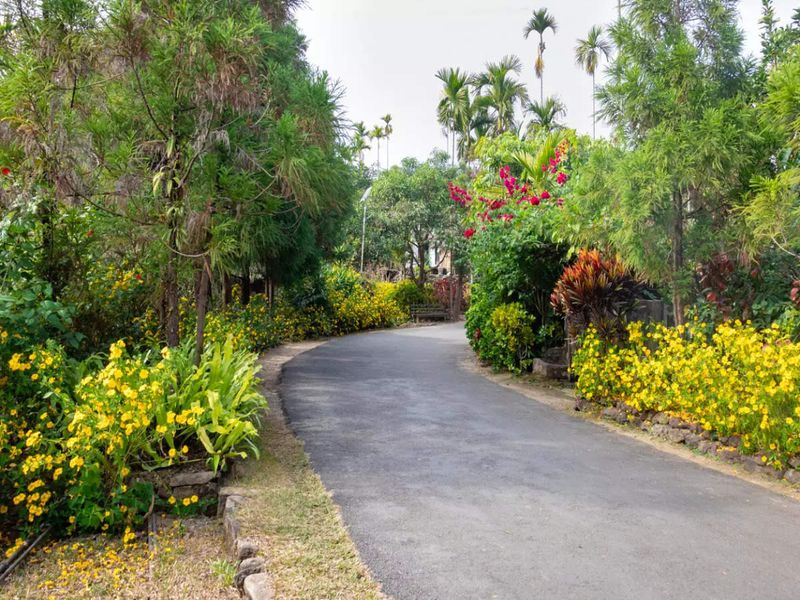 Mawlynnong, India