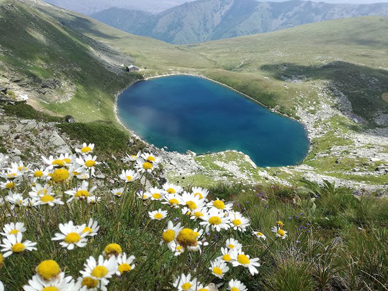 Pelister National Park, North Macedonia