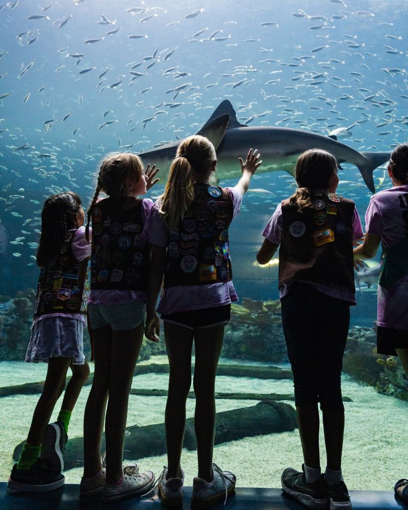 Exploring the Underwater World at Texas State Aquarium