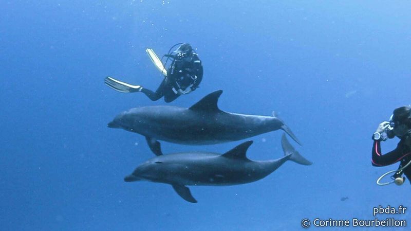 Rangiroa, French Polynesia - Atoll Adventures