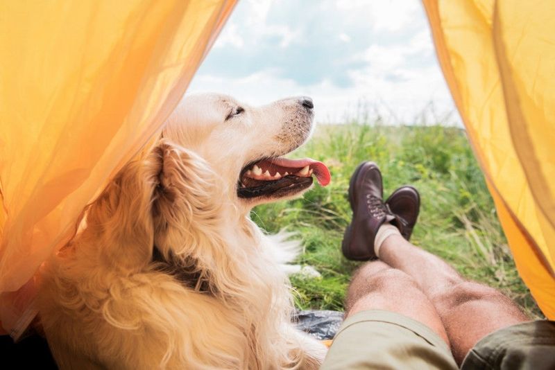 Pet-Friendly Facilities