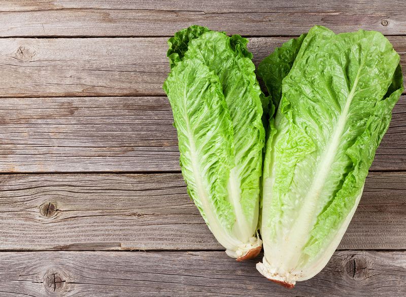 Lettuce