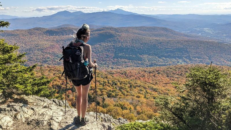 The Quiet Wilderness