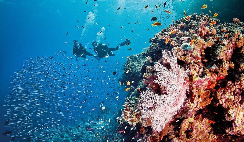 The Great Barrier Reef, Australia