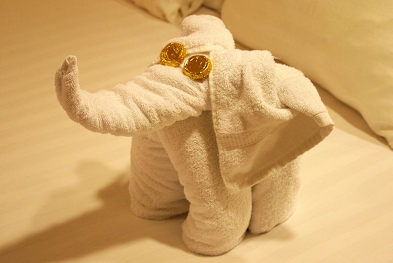 Towel Animal Surprises