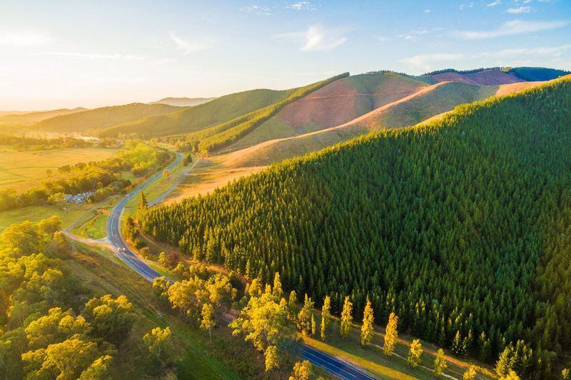 Great Alpine Road, Victoria, Australia