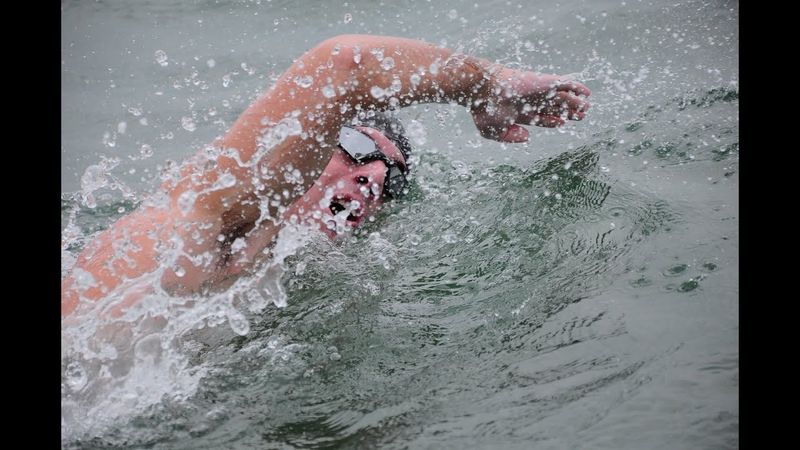 Grand Canal's Wild Swimming Spot