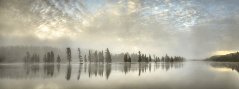 The Sound of Silence