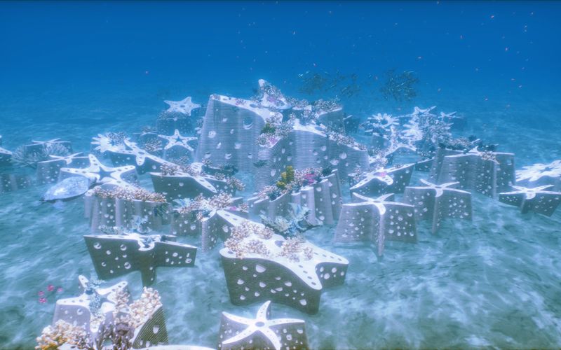 The Starfish Sanctuary