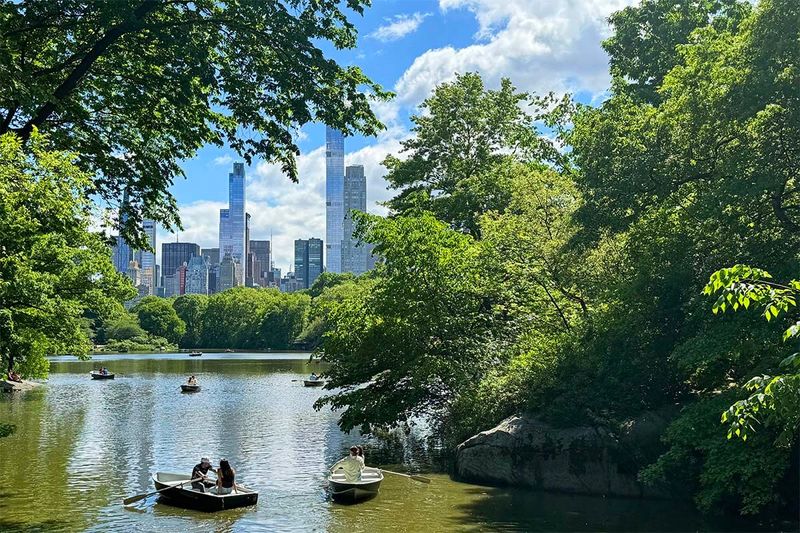 The Urban Nature of Central Park