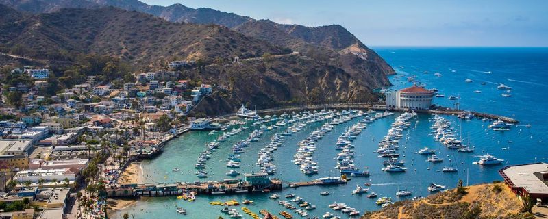 Catalina Island's Avalon