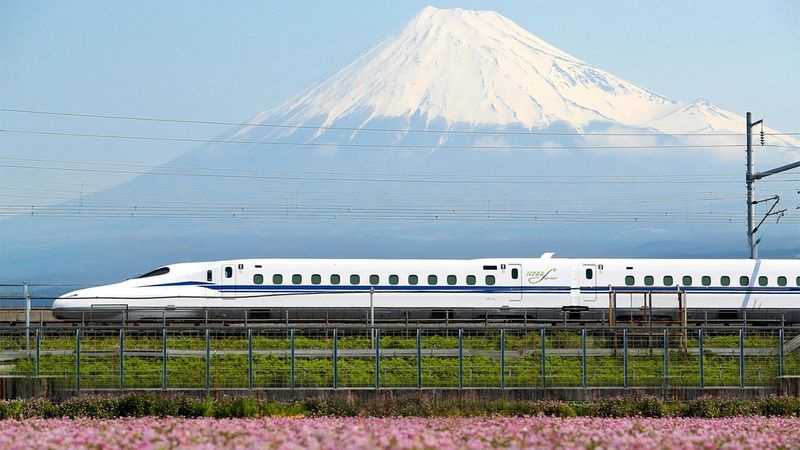 The Shinkansen