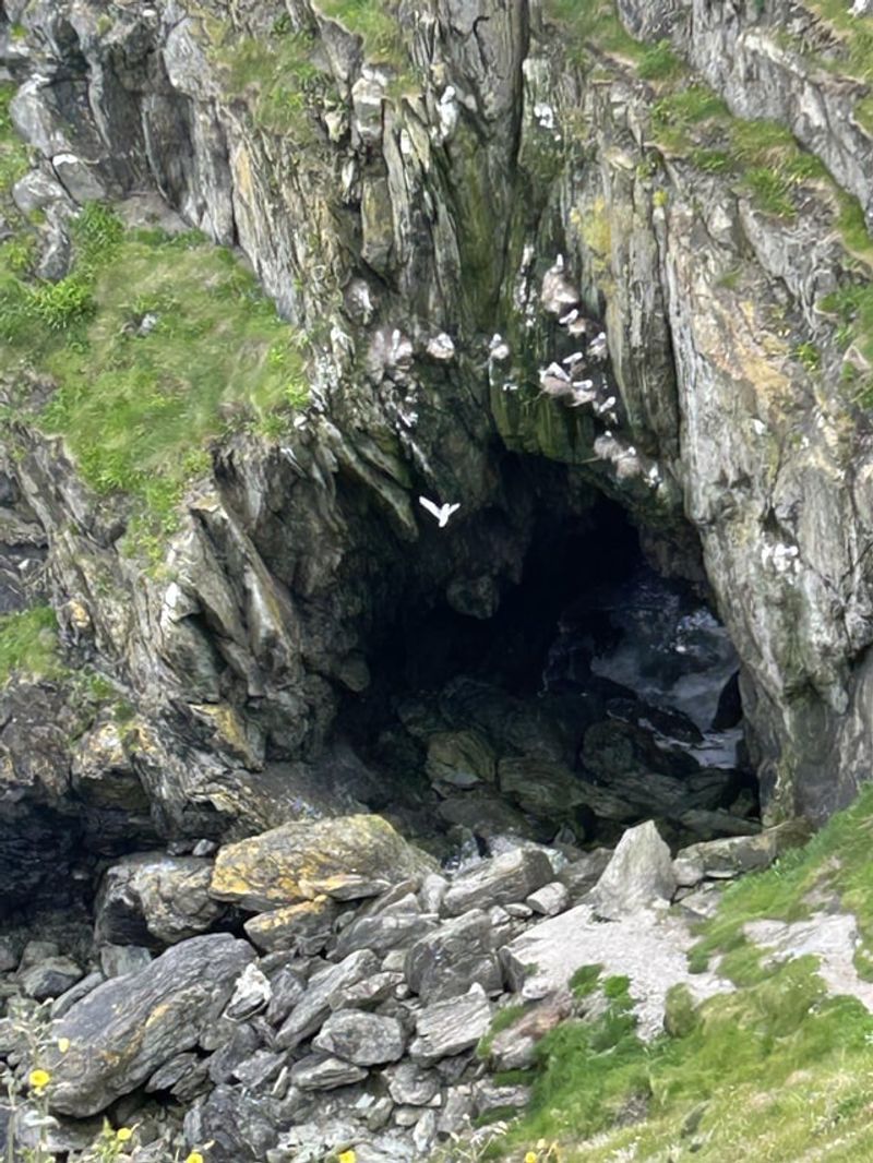Howth Cliff's Hidden Sea Cave