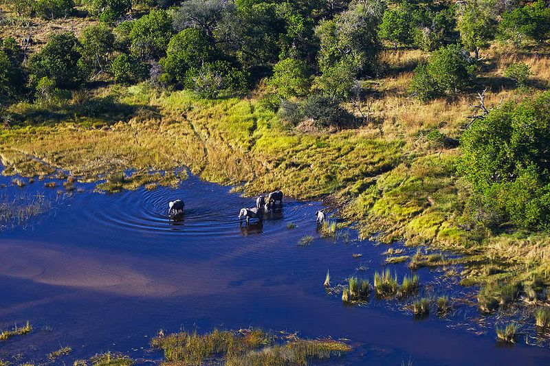 The Okavango Delta, Botswana