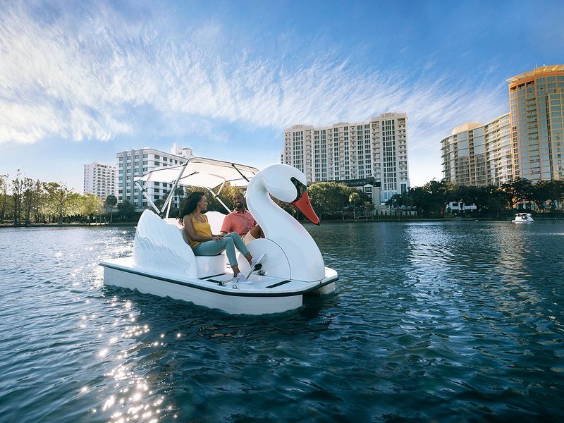 Lake Eola Swan Boats