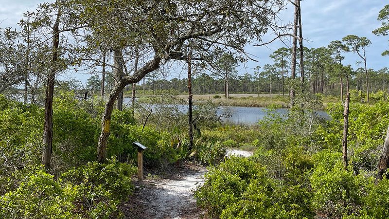 Grayton Beach State Park: Natural Florida Preserved
