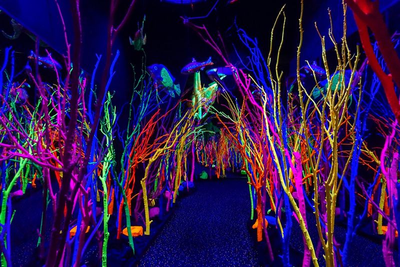 Meow Wolf's Secret Sister Installation