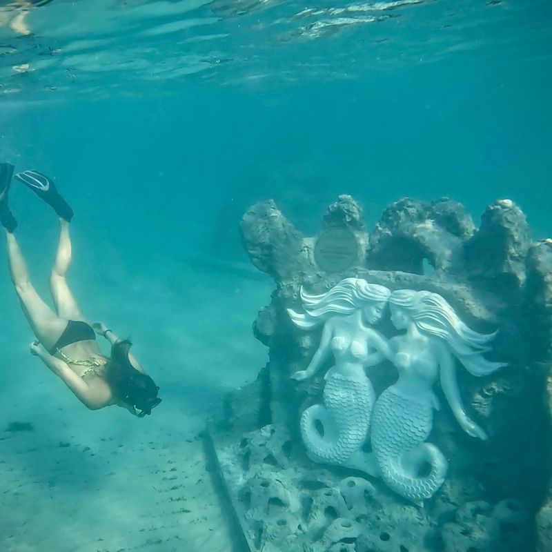 The Giant Seahorse