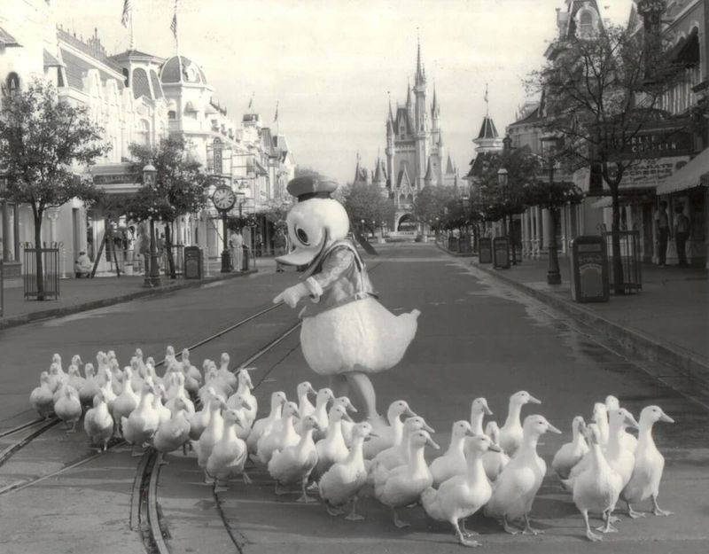 Whimsical Parade of Ducks