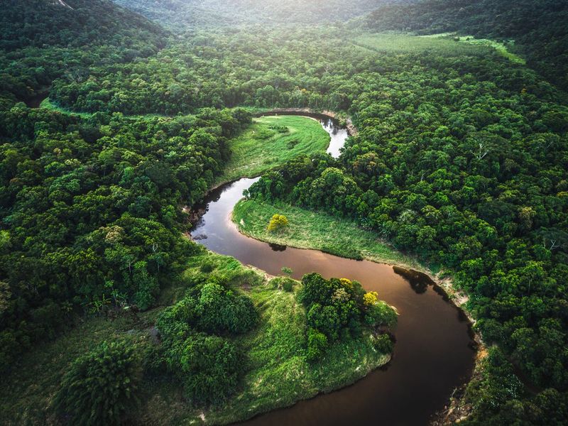 The Amazon Rainforest, Brazil