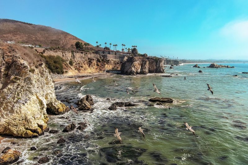 The Marine Life Sanctuary