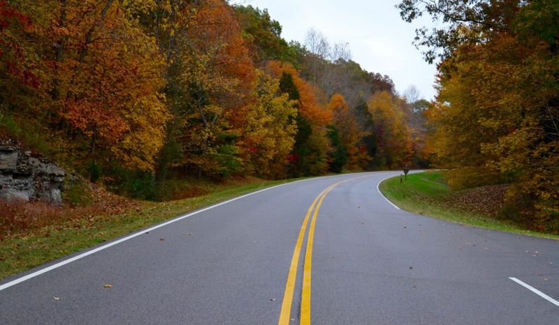 The Natchez Trace: Ancient Footpath to Modern Parkway