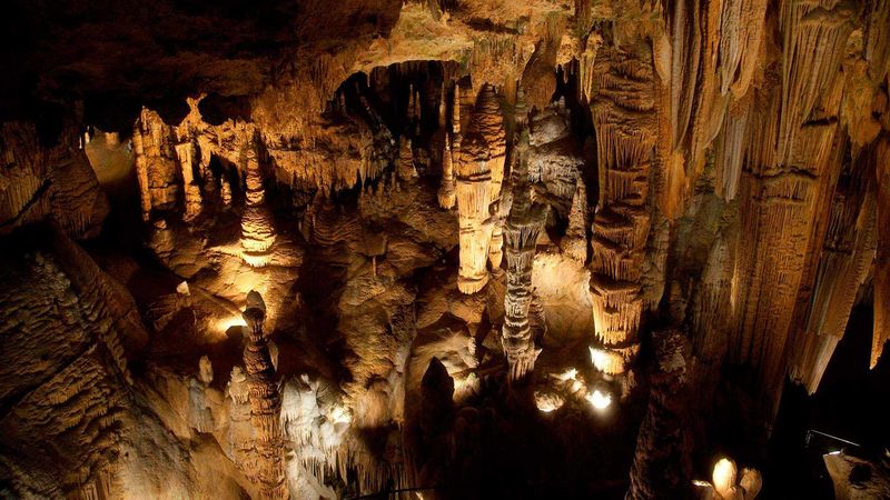 The Carlsbad Caverns, New Mexico