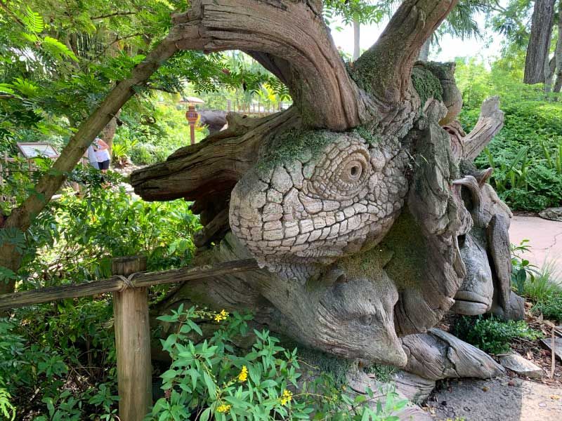 The Hidden Pathways of Animal Kingdom