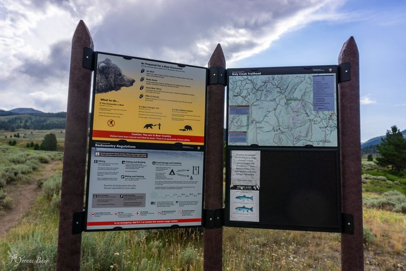 Trail Markers: A Hidden Treasure Hunt