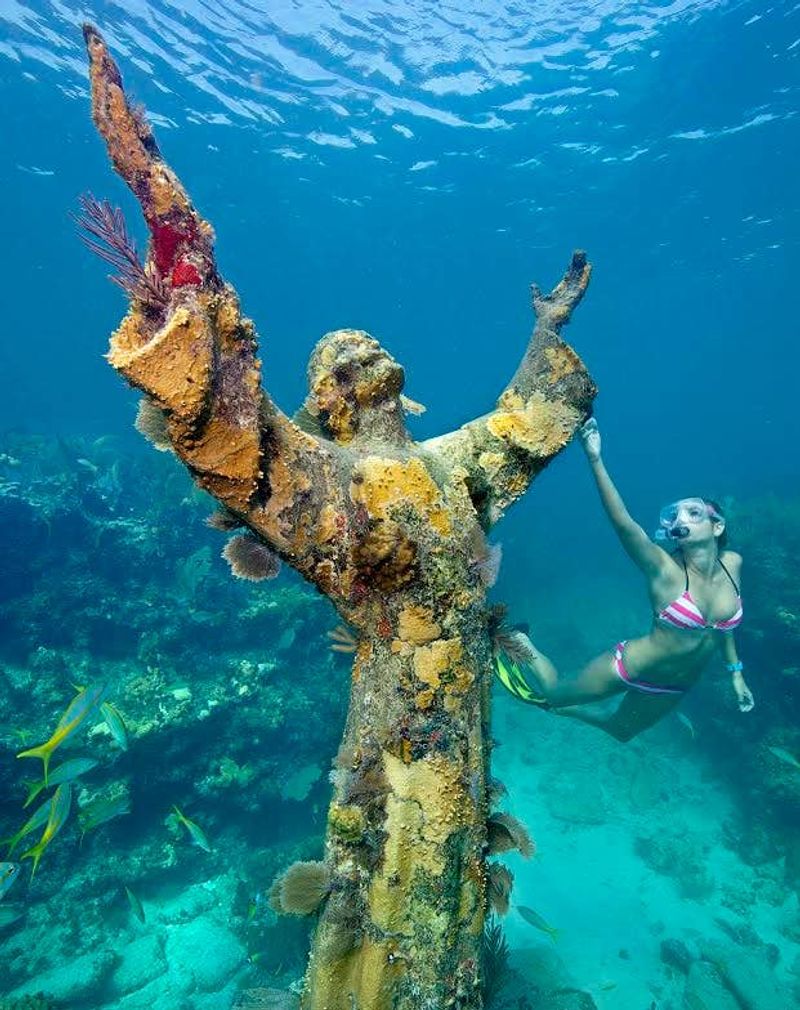 The Reef Guardian