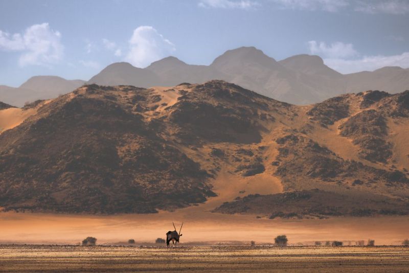 The Majestic Landscapes of Namibia
