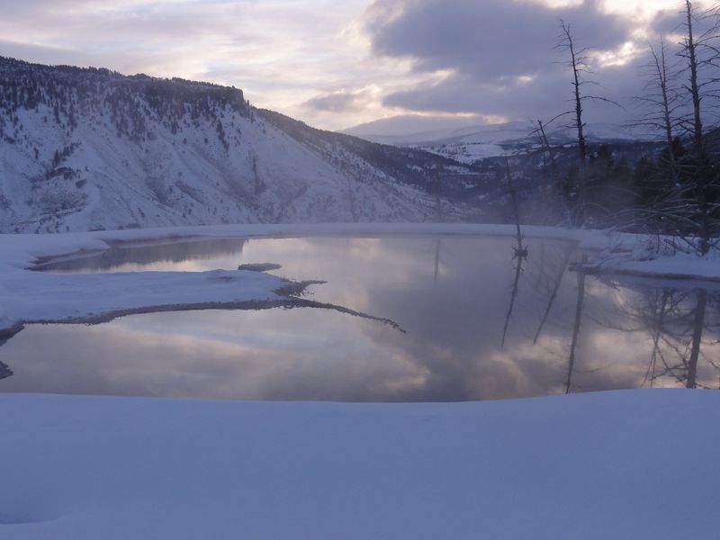 Solitude and Silence