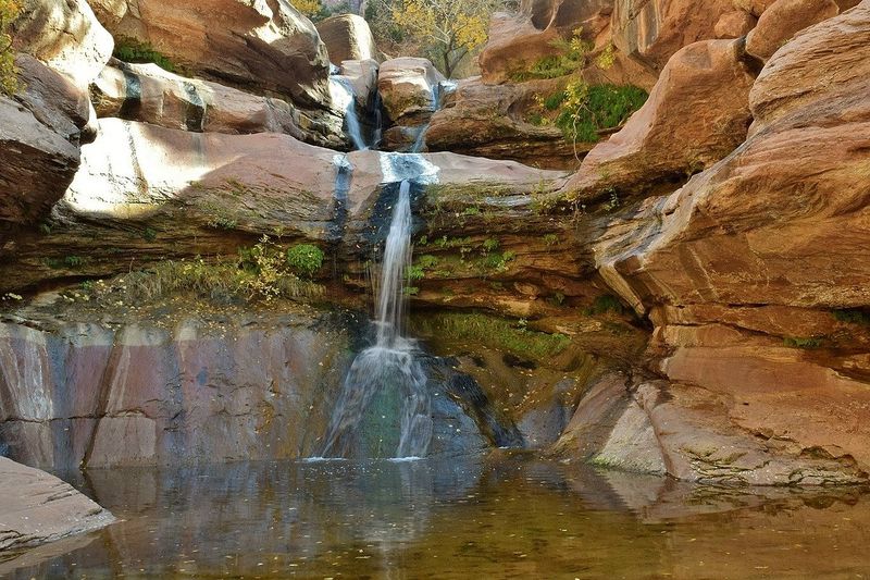 The Hidden Gem of Zion