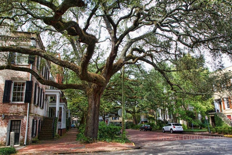 Savannah, Georgia
