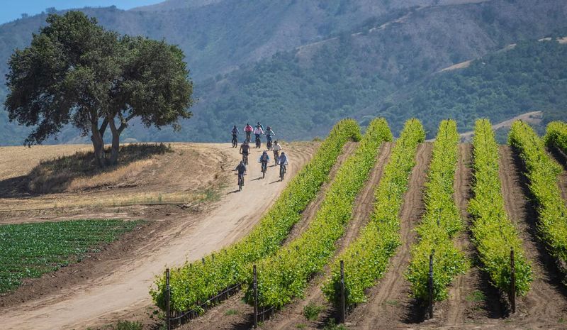 E-Bike Vineyard Tours
