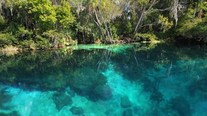 Rainbow Springs Headwaters