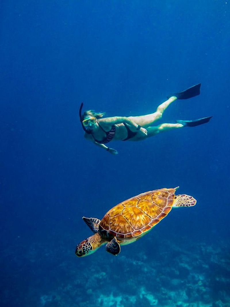 Bonaire Marine Park, Caribbean Netherlands