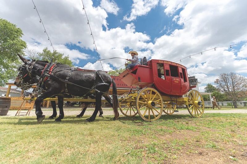 Covered-wagon & Cowboy Reenactments
